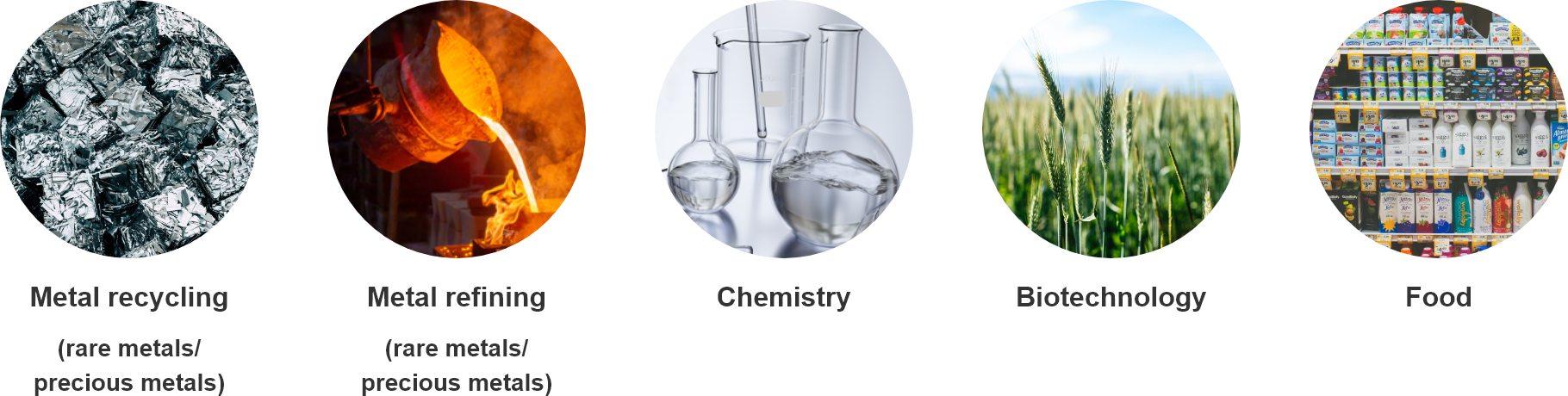 Metal recycling(rare metals/precious metals)Metal refining(rare metals/precious metals)ChemistryBiotechnologyFood